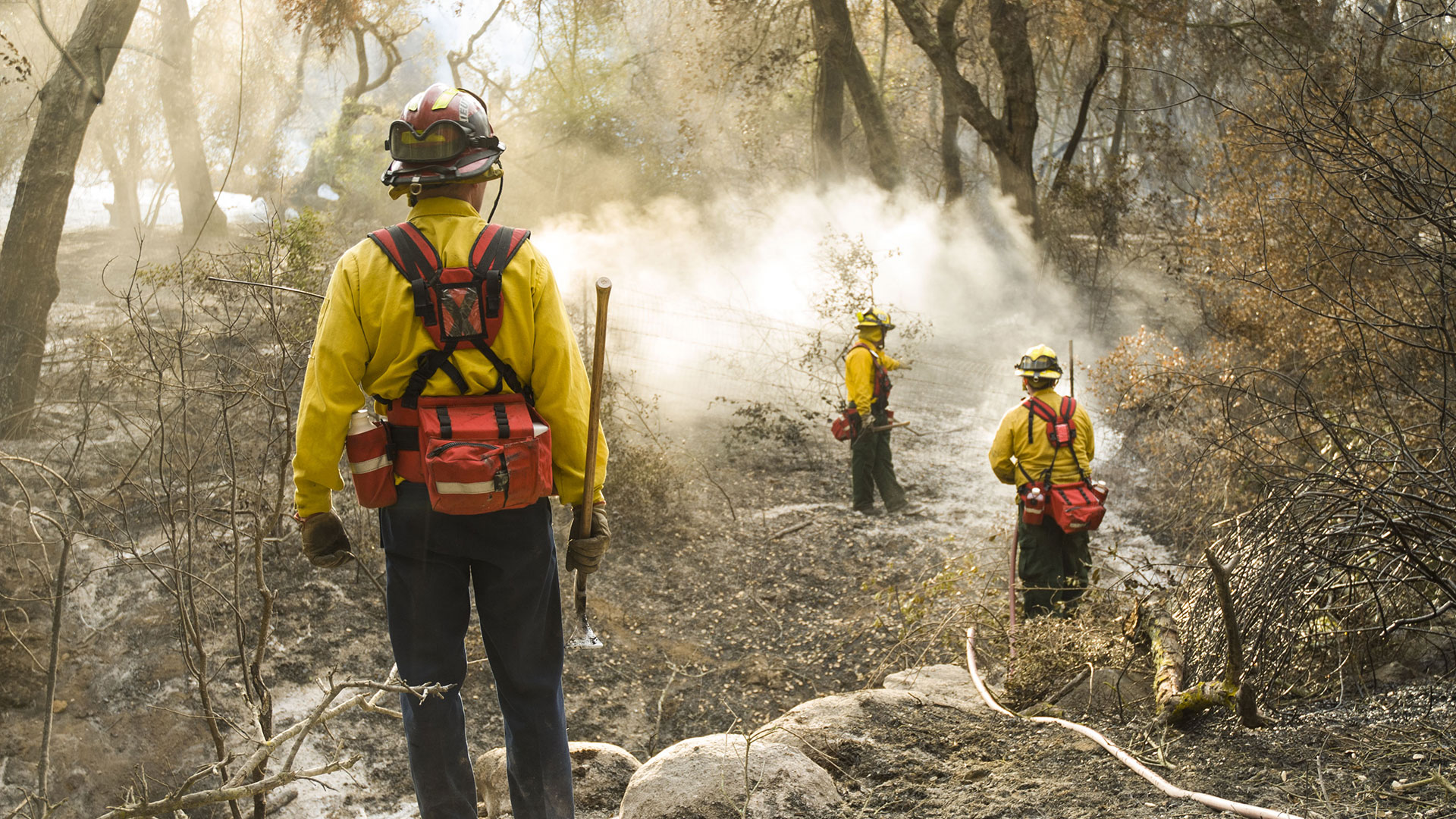 What Can FM Managers Do to Help Prepare for Wildfires